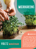 mikrogrøntsager